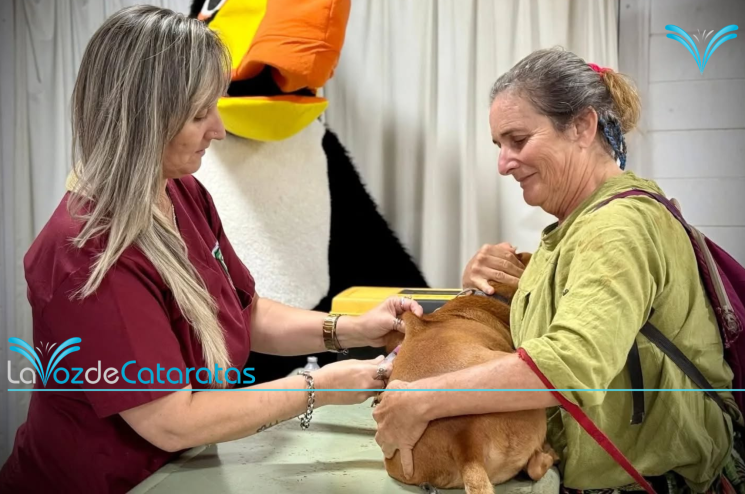 zoonosis